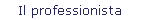 Il professionista